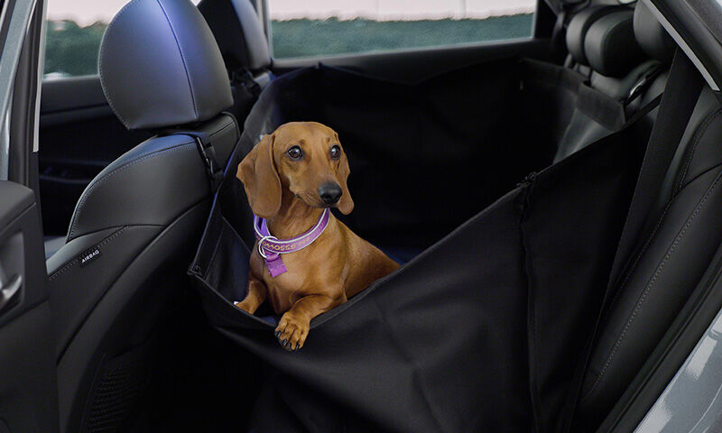 Hyundai i30 seat covers new arrivals